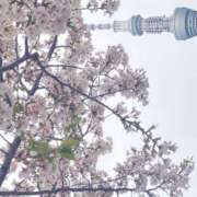 ヒメ日記 2025/04/17 09:26 投稿 岩田ひかる AJ DOLLS(エージェイドールズ)