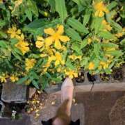 ヒメ日記 2025/05/27 09:16 投稿 夏目 昼顔妻 五反田店