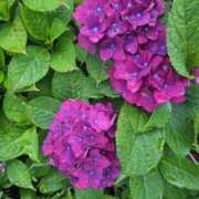 ヒメ日記 2025/06/04 09:06 投稿 夏目 昼顔妻 五反田店