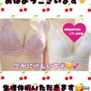 ヒメ日記 2025/06/20 08:44 投稿 まい 濃厚即19妻