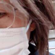 ヒメ日記 2025/03/29 09:03 投稿 ゆず 吉祥寺おかあさん