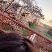 ヒメ日記 2025/04/04 06:22 投稿 ゆず 吉祥寺おかあさん