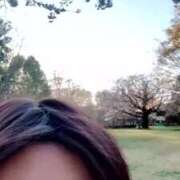 ヒメ日記 2025/04/05 07:42 投稿 ゆず 吉祥寺おかあさん