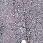 ヒメ日記 2025/04/09 06:02 投稿 ゆず 吉祥寺おかあさん