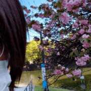 ヒメ日記 2025/04/16 09:02 投稿 ゆず 吉祥寺おかあさん