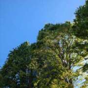 ヒメ日記 2025/04/21 09:12 投稿 ゆず 吉祥寺おかあさん