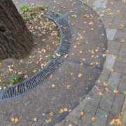 ゆず 忘れてた…もうそんな季節なんだ 吉祥寺おかあさん