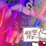 ヒメ日記 2025/09/13 23:45 投稿 星宮 BBW錦糸町店