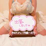 星宮 ⭐️⭐️ BBW錦糸町店