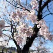 ヒメ日記 2025/04/09 16:31 投稿 ありな 名古屋回春性感マッサージ倶楽部