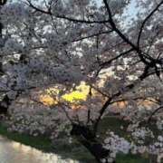 ヒメ日記 2025/04/19 21:21 投稿 ありな 名古屋回春性感マッサージ倶楽部