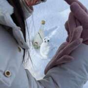 ヒメ日記 2026/01/23 08:49 投稿 ありな 名古屋回春性感マッサージ倶楽部