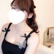 ヒメ日記 2025/04/01 19:56 投稿 八乙女せいら Rêve MISTREA(レーヴ ミストレア)