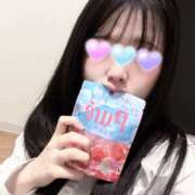 ヒメ日記 2025/04/08 13:01 投稿 クルミ バニーコレクション新潟店