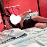 ヒメ日記 2025/08/07 07:30 投稿 クルミ バニーコレクション新潟店