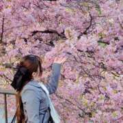 ヒメ日記 2026/03/03 15:47 投稿 ひまり【店推し特待生】 もえたく