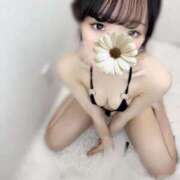 ヒメ日記 2025/04/29 14:44 投稿 まみか★未開発の未経験処女娘★ S級素人清楚系デリヘル chloe