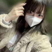 ヒメ日記 2025/04/20 06:30 投稿 みみ Tokyo fairy land-東京フェアリーランド-