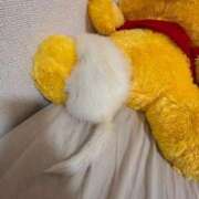 ヒメ日記 2025/04/15 09:39 投稿 【体験入店】蘭華（らんか） 花魁company