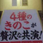 ヒメ日記 2025/04/06 12:53 投稿 めい 三重松阪ちゃんこ