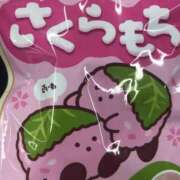 ヒメ日記 2025/04/06 16:13 投稿 めい 三重松阪ちゃんこ