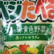 ヒメ日記 2025/04/15 12:43 投稿 めい 三重松阪ちゃんこ