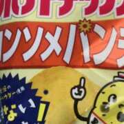 ヒメ日記 2025/04/15 20:23 投稿 めい 三重松阪ちゃんこ