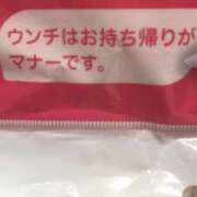 ヒメ日記 2025/04/18 20:03 投稿 めい 三重松阪ちゃんこ