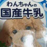 ヒメ日記 2025/05/08 18:00 投稿 めい 三重松阪ちゃんこ