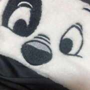 ヒメ日記 2025/06/04 10:53 投稿 めい 三重松阪ちゃんこ