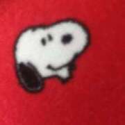 ヒメ日記 2025/06/11 14:53 投稿 めい 三重松阪ちゃんこ