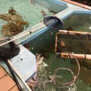 ヒメ日記 2025/06/25 23:33 投稿 めい 三重松阪ちゃんこ