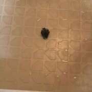 ヒメ日記 2025/07/08 08:23 投稿 めい 三重松阪ちゃんこ