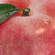 ヒメ日記 2025/07/19 16:23 投稿 めい 三重松阪ちゃんこ