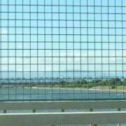 ヒメ日記 2025/07/27 16:23 投稿 めい 三重松阪ちゃんこ