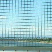 ヒメ日記 2025/08/21 18:43 投稿 めい 三重松阪ちゃんこ