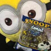 ヒメ日記 2025/09/30 08:53 投稿 めい 三重松阪ちゃんこ