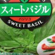 ヒメ日記 2025/09/30 16:33 投稿 めい 三重松阪ちゃんこ
