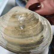 ヒメ日記 2025/10/07 15:13 投稿 めい 三重松阪ちゃんこ