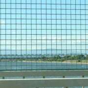 ヒメ日記 2025/11/08 23:33 投稿 めい 三重松阪ちゃんこ