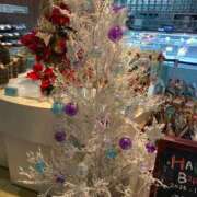 ヒメ日記 2025/12/25 20:33 投稿 めい 三重松阪ちゃんこ