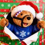 ヒメ日記 2025/12/29 22:53 投稿 めい 三重松阪ちゃんこ