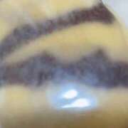 ヒメ日記 2026/02/02 16:23 投稿 めい 三重松阪ちゃんこ