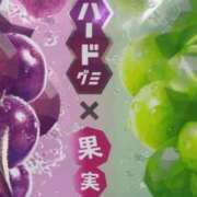 ヒメ日記 2026/02/24 15:33 投稿 めい 三重松阪ちゃんこ