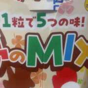 ヒメ日記 2026/02/27 07:33 投稿 めい 三重松阪ちゃんこ