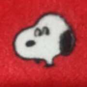 ヒメ日記 2026/02/27 16:33 投稿 めい 三重松阪ちゃんこ