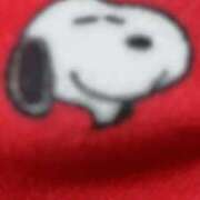 ヒメ日記 2026/02/28 14:43 投稿 めい 三重松阪ちゃんこ