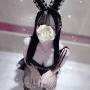 ヒメ日記 2026/02/20 08:27 投稿 びびあん(現役アイドル) 現役アイドルと誰にも言えない秘密の関係