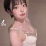 ヒメ日記 2025/04/10 06:55 投稿 ナナミ チューリップ福井別館