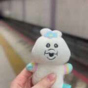 ヒメ日記 2025/04/10 13:54 投稿 ナナミ チューリップ福井別館